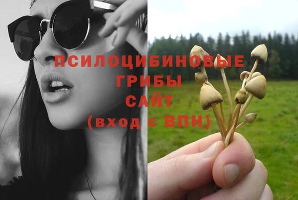 гашик Бородино