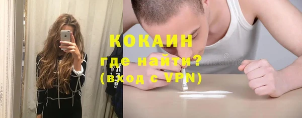 гашик Бородино