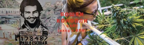 гашик Бородино