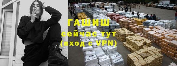 гашик Бородино