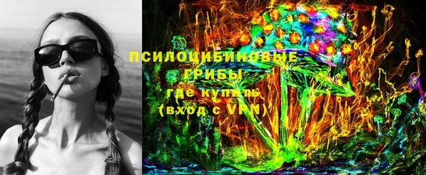гашик Бородино