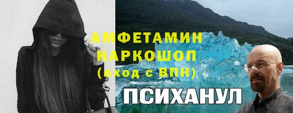 гашик Бородино